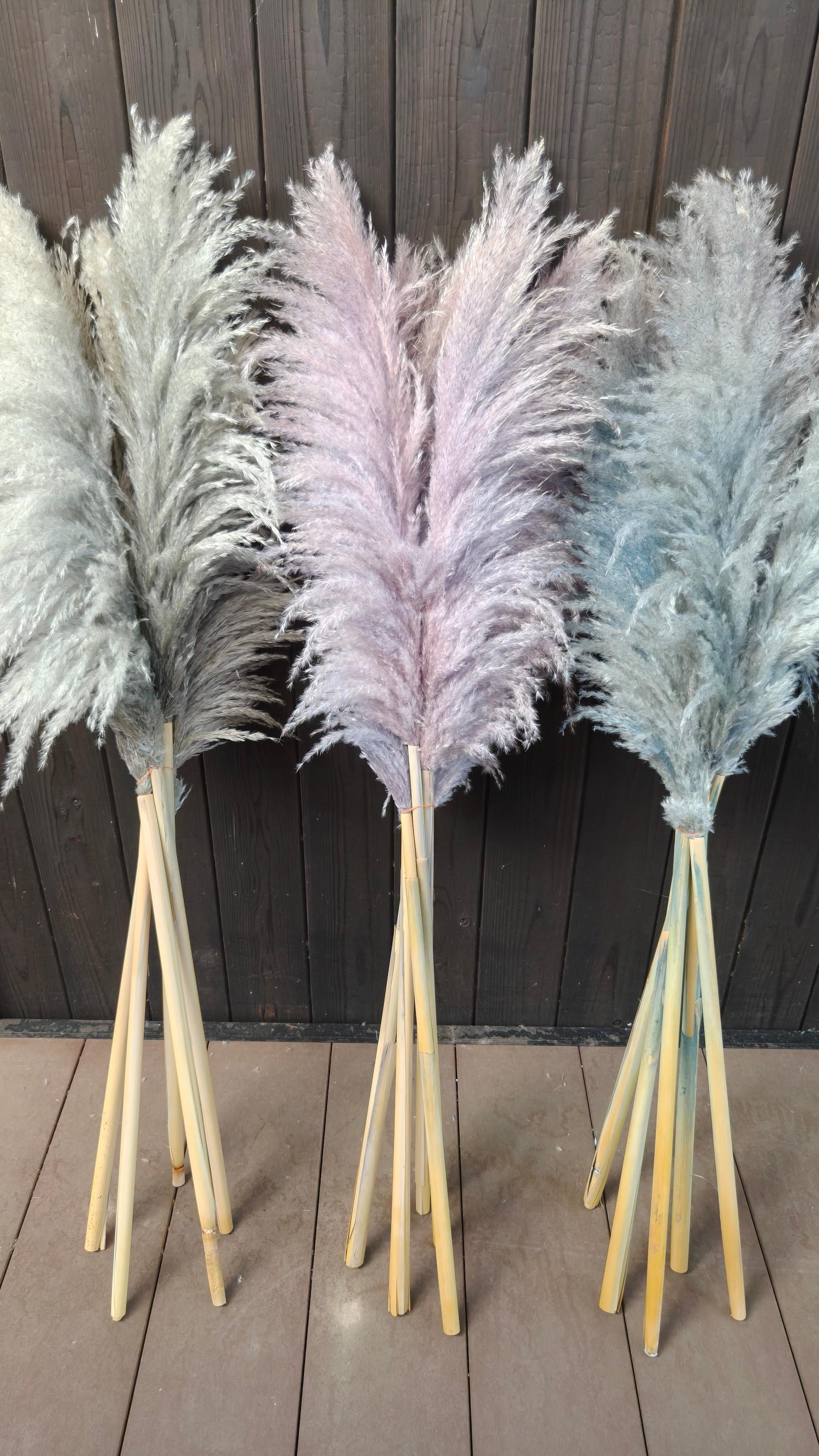 今季！グレージュ、ニュアンスカラーのパンパスグラス  開店祝い ドライフラワーインテリア ウェディング大人クリスマス | 3枚目